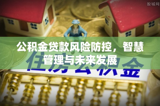 西吉公积金贷款风险防控，智慧管理与未来发展