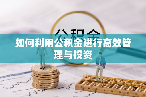 西吉如何利用公积金进行高效管理与投资