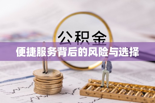西吉便捷服务背后的风险与选择