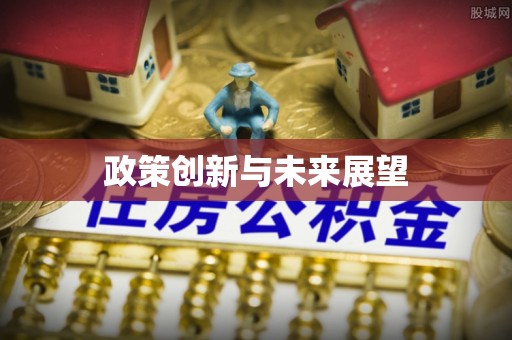 西吉政策创新与未来展望